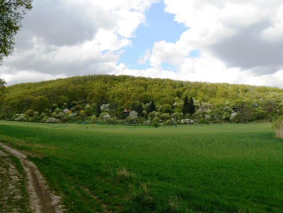 colline.jpg