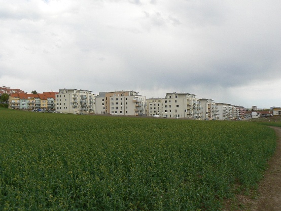 immeubles.jpg